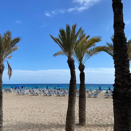Levante Carlos V 1b Benidorm